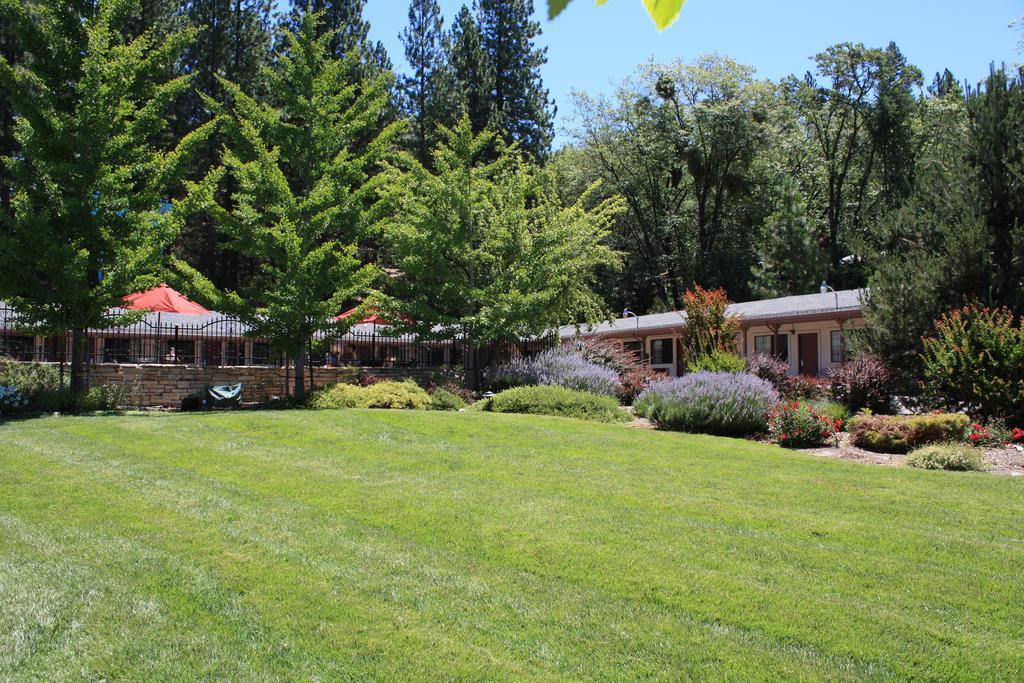 Mother Lode Motel Placerville Exterior photo